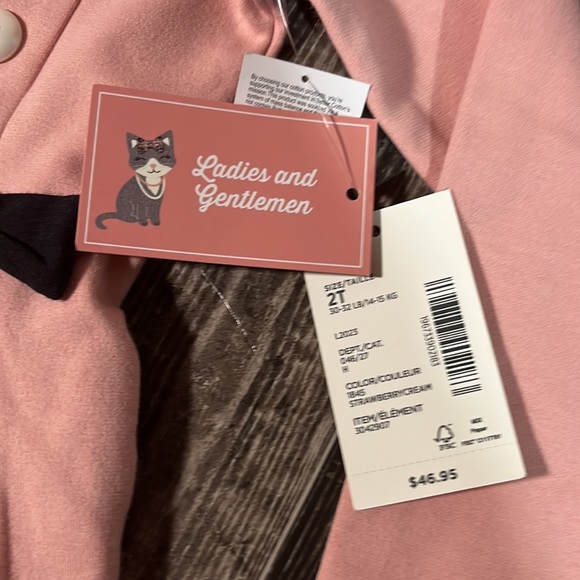 Gymboree Girls Dress NWT - Picture 4 of 7